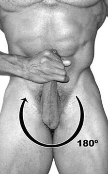 Training bell to a member