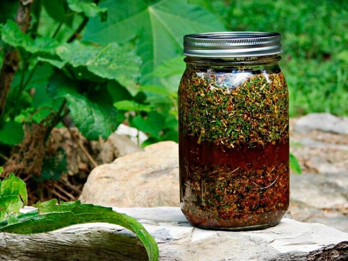 A decoction of wormwood helps to increase the size of the male genitalia